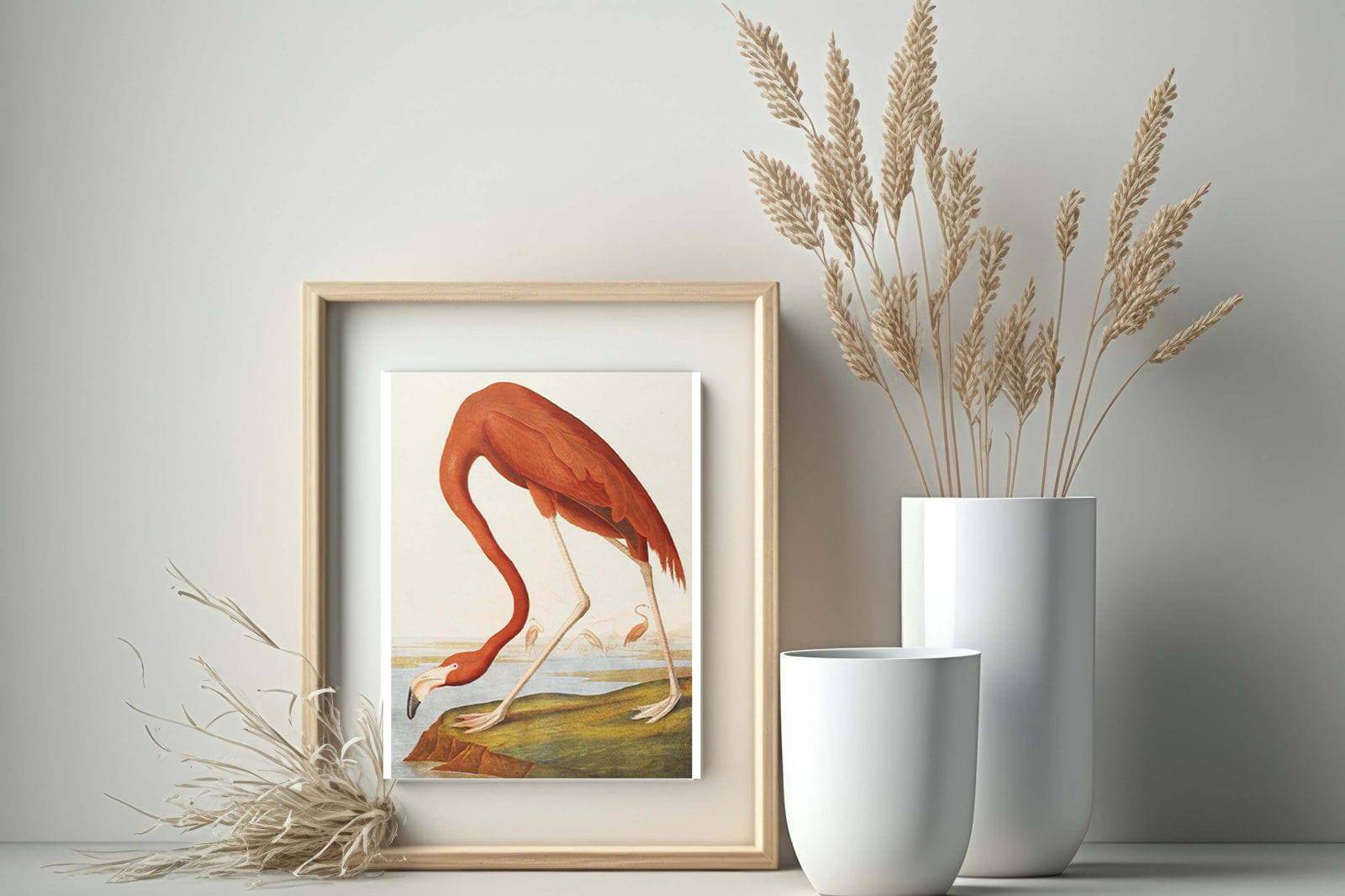 John James Audubon - American Flamingo - Hakyarts