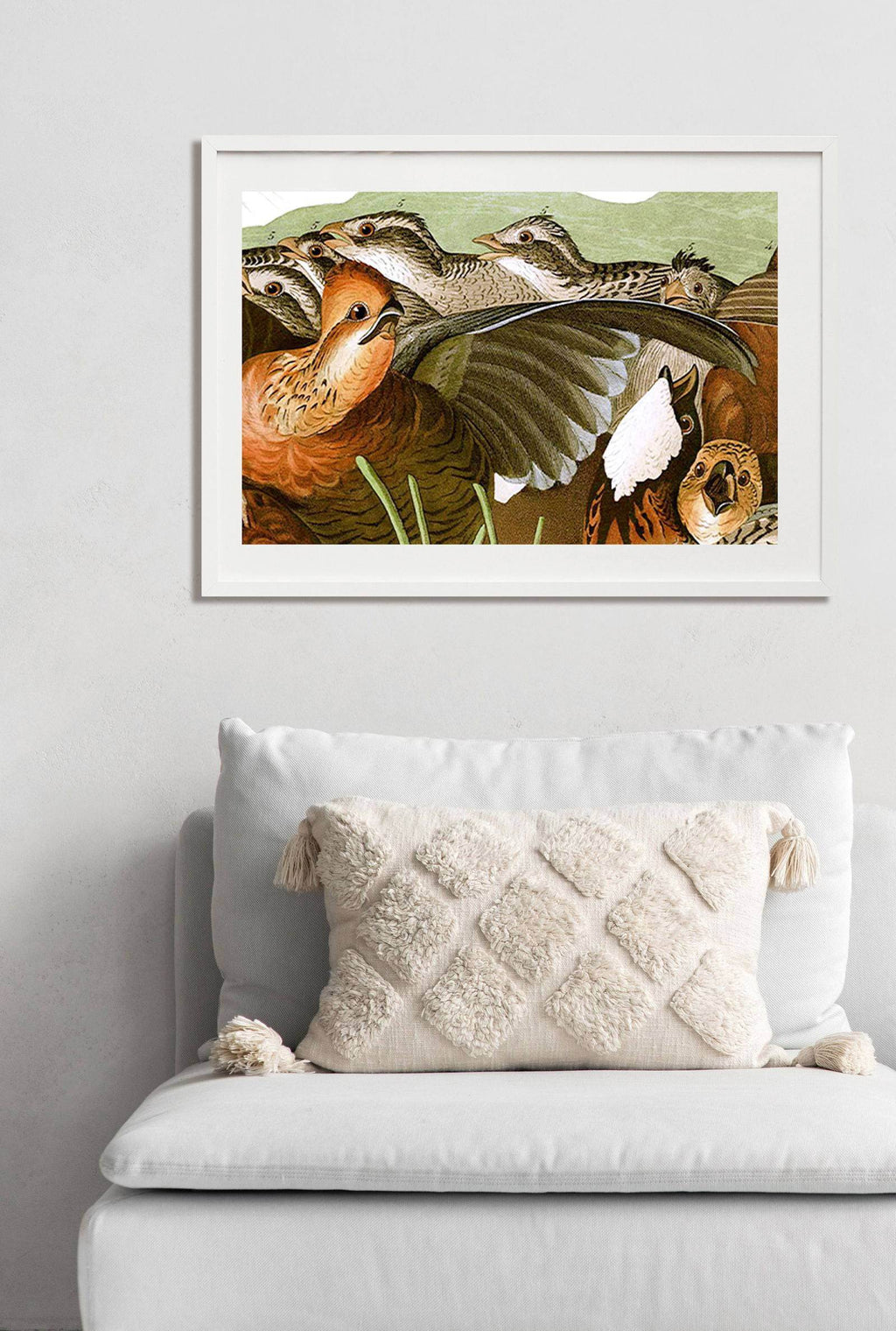 John James Audubon - Birds of America - Hakyarts