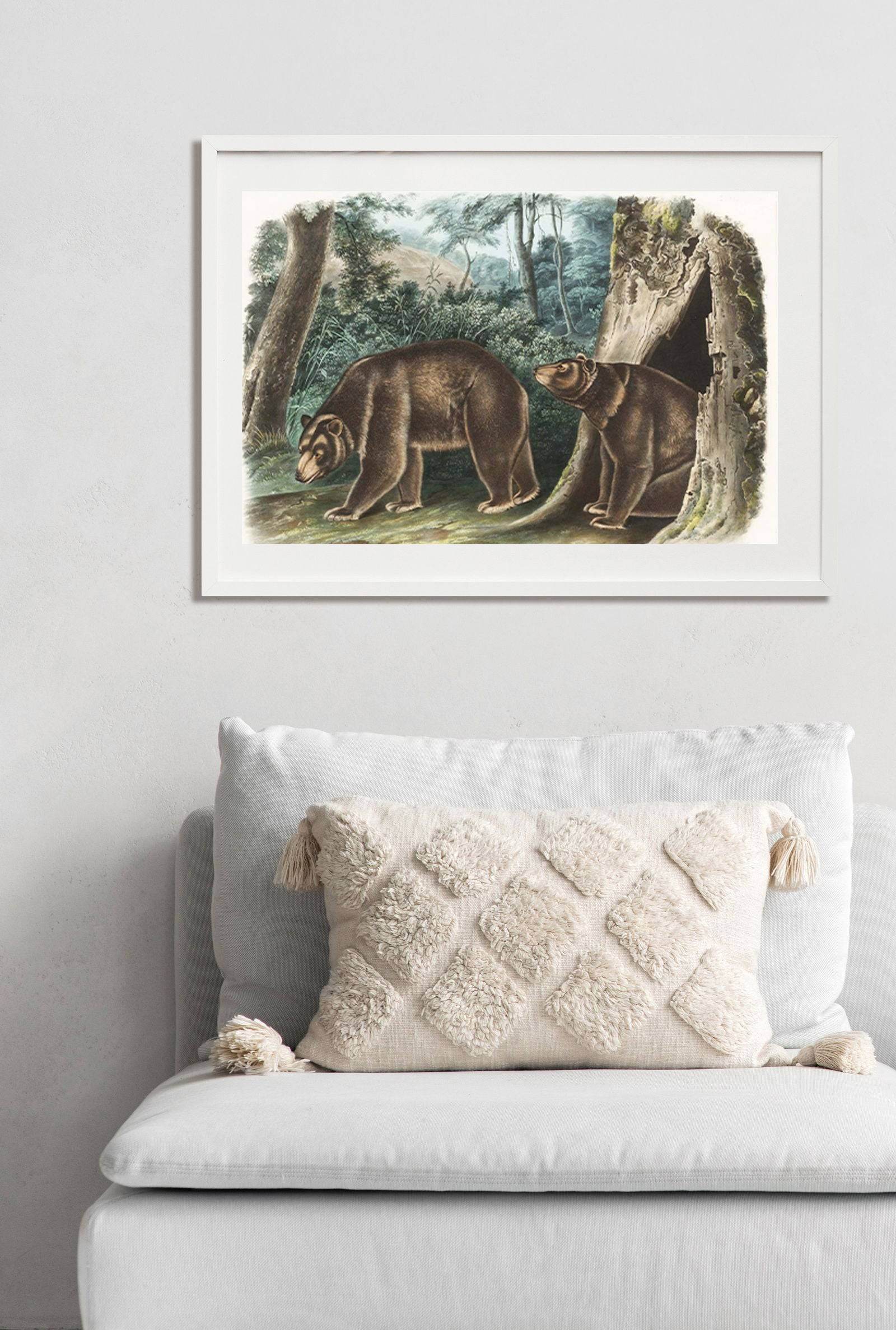 John James Audubon - Cinnamon Bear - Hakyarts