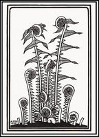 Julie de Graag - Ferns - Hakyarts