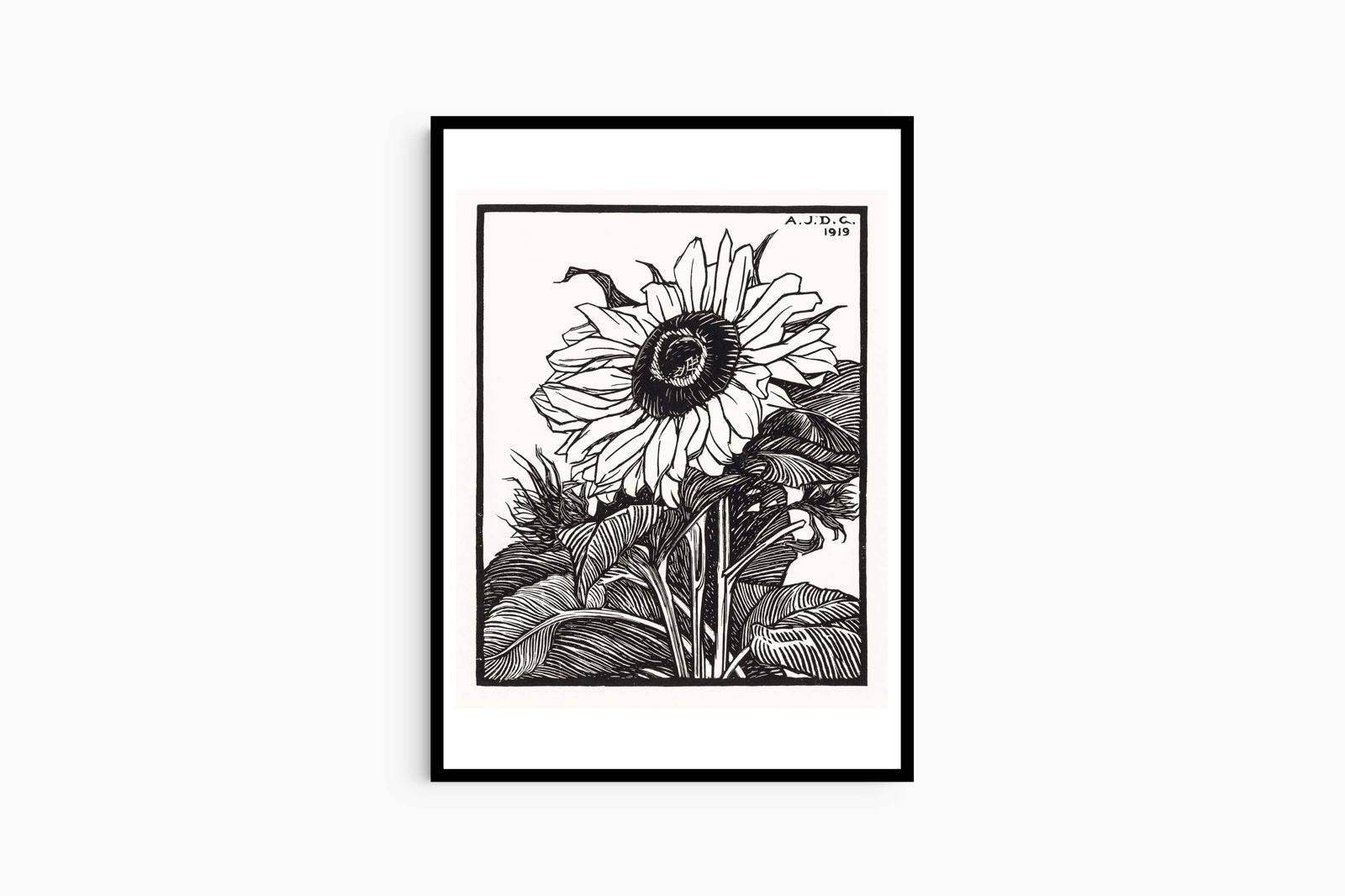 Julie de Graag - Sunflower - Hakyarts