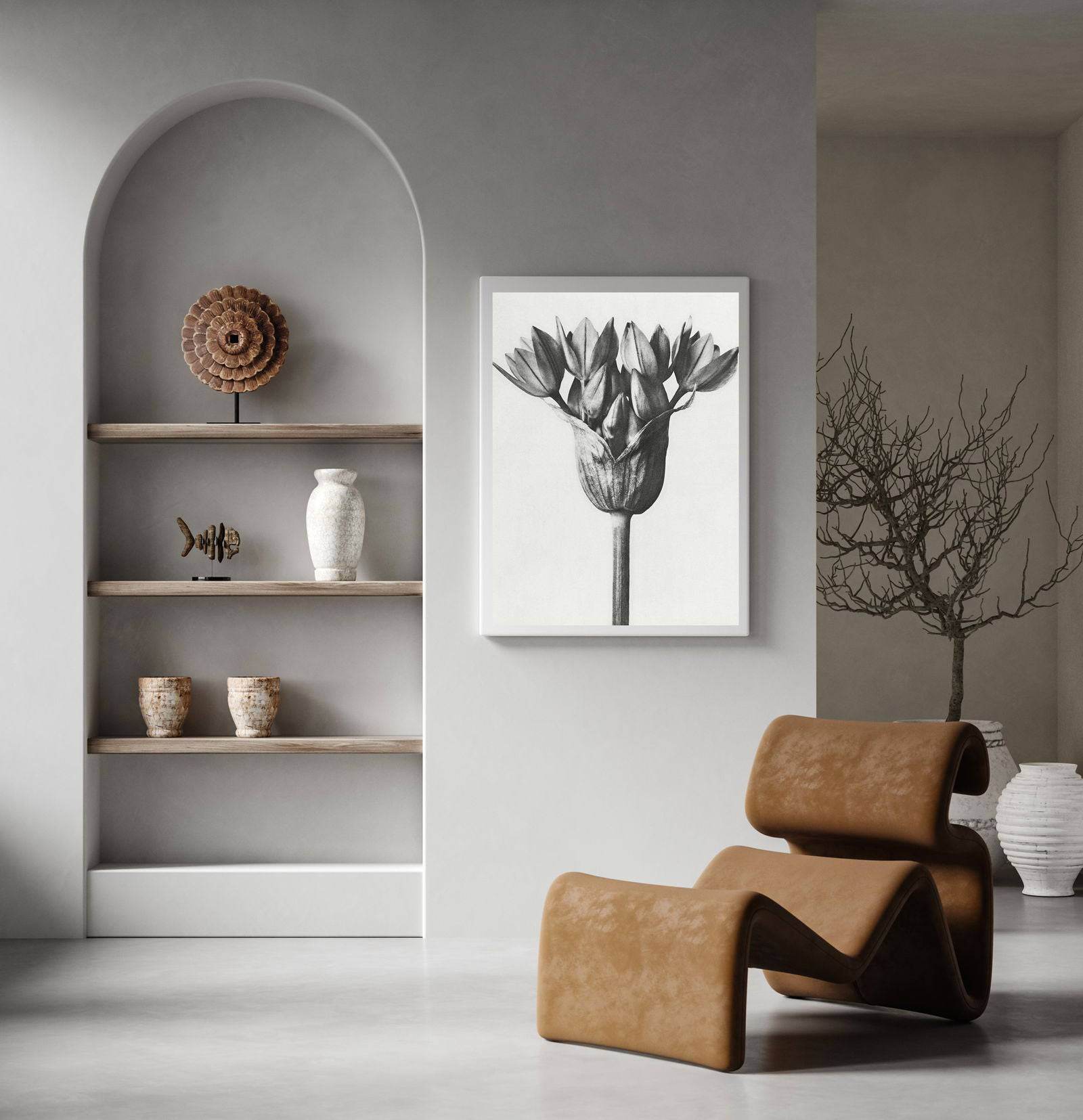 Karl Blossfeldt - Allium Ostroroskianum - Hakyarts