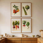 Set of 4 Botanical Kitchen Art Prints – Quartet Collection - Hakyarts