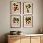 Set of 4 Botanical Kitchen Art Prints – Quartet Collection - Hakyarts