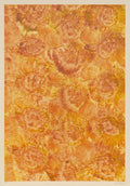 Kleisterpapier (Blütendekor) (1885–1907) by Christian Ferdinand Morawe – Decorative Historic Paper Print