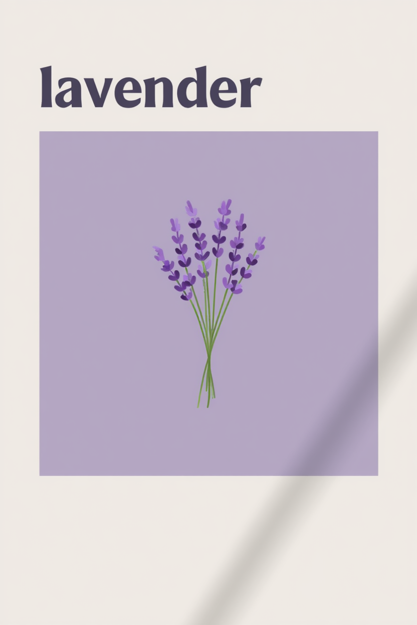 Set of 4 Lavender, Daisy, Tulip and Sakura Floral Prints