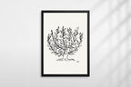 Le Buisson by Matisse - Hakyarts
