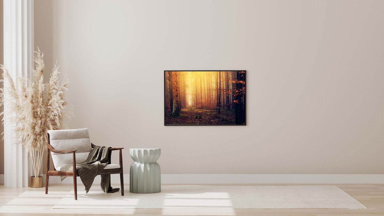 Light In The Forest Poster - Hakyarts