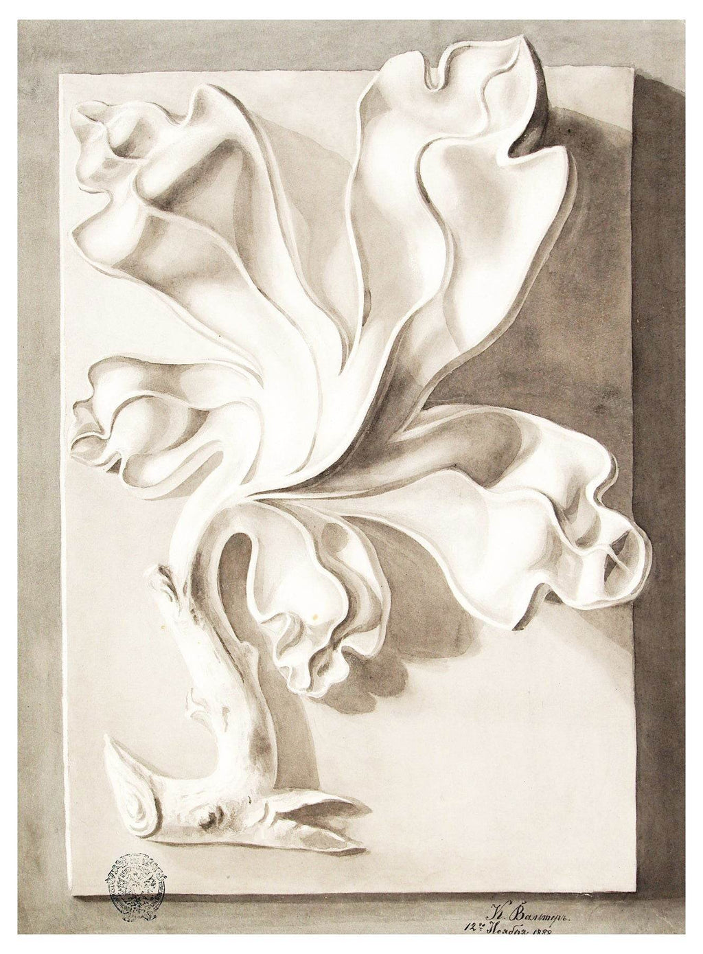 Lilly Walther - Kipsakants Poster - Hakyarts