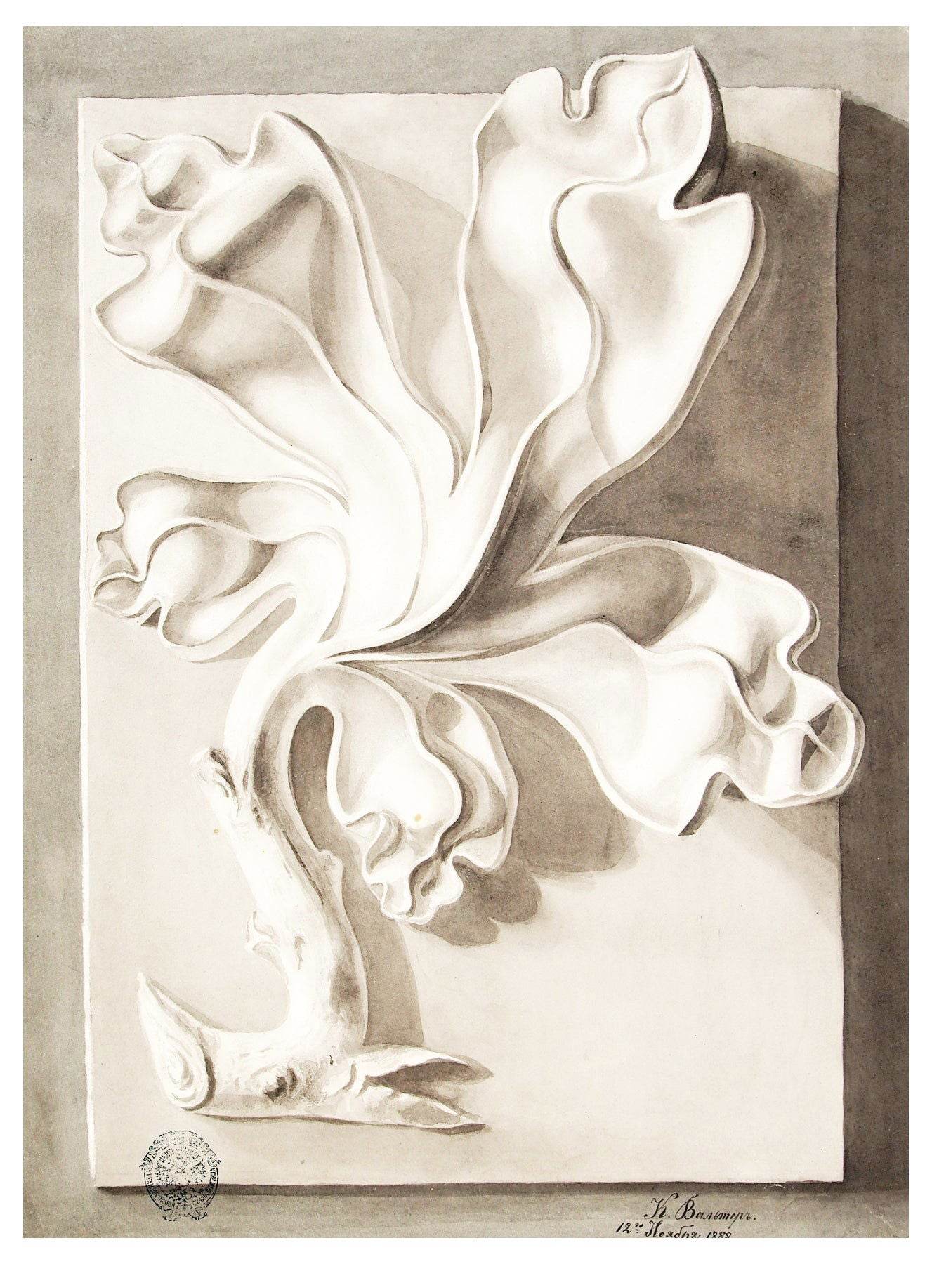 Lilly Walther - Kipsakants Poster - Hakyarts