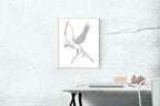 Line Art Bird Poster - Hakyarts