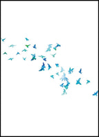 Little Birds