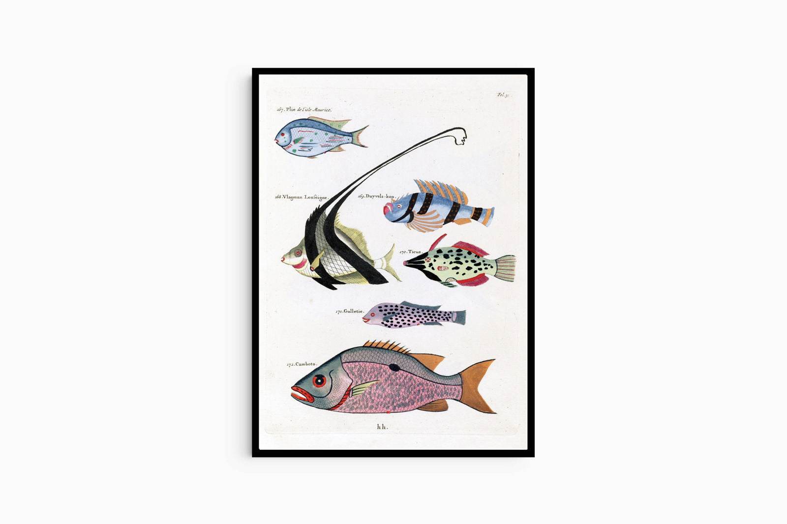 Louis Renard - Poissons Plate 31 Poster - Hakyarts