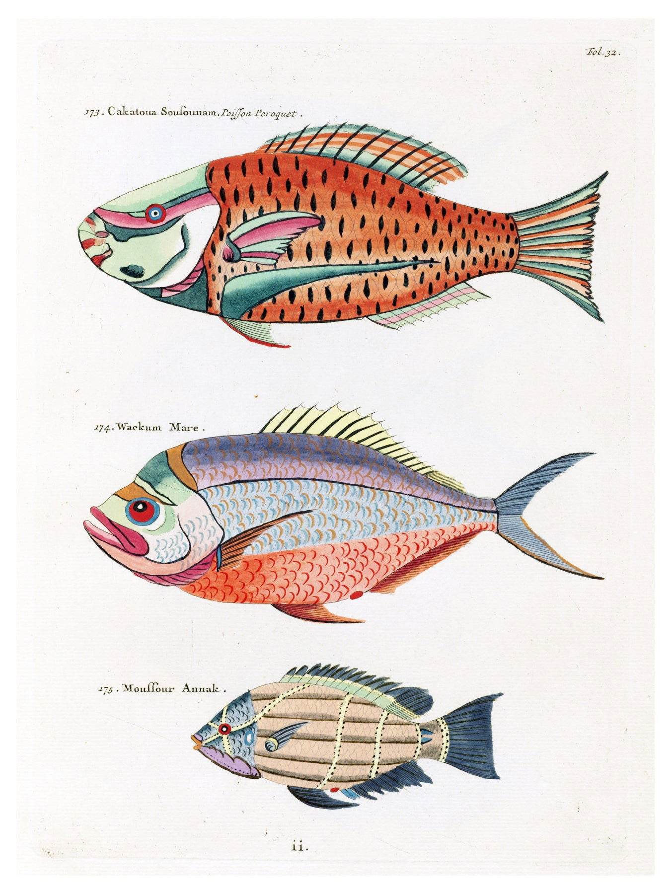 Louis Renard - Poissons Plate 32 Poster - Hakyarts