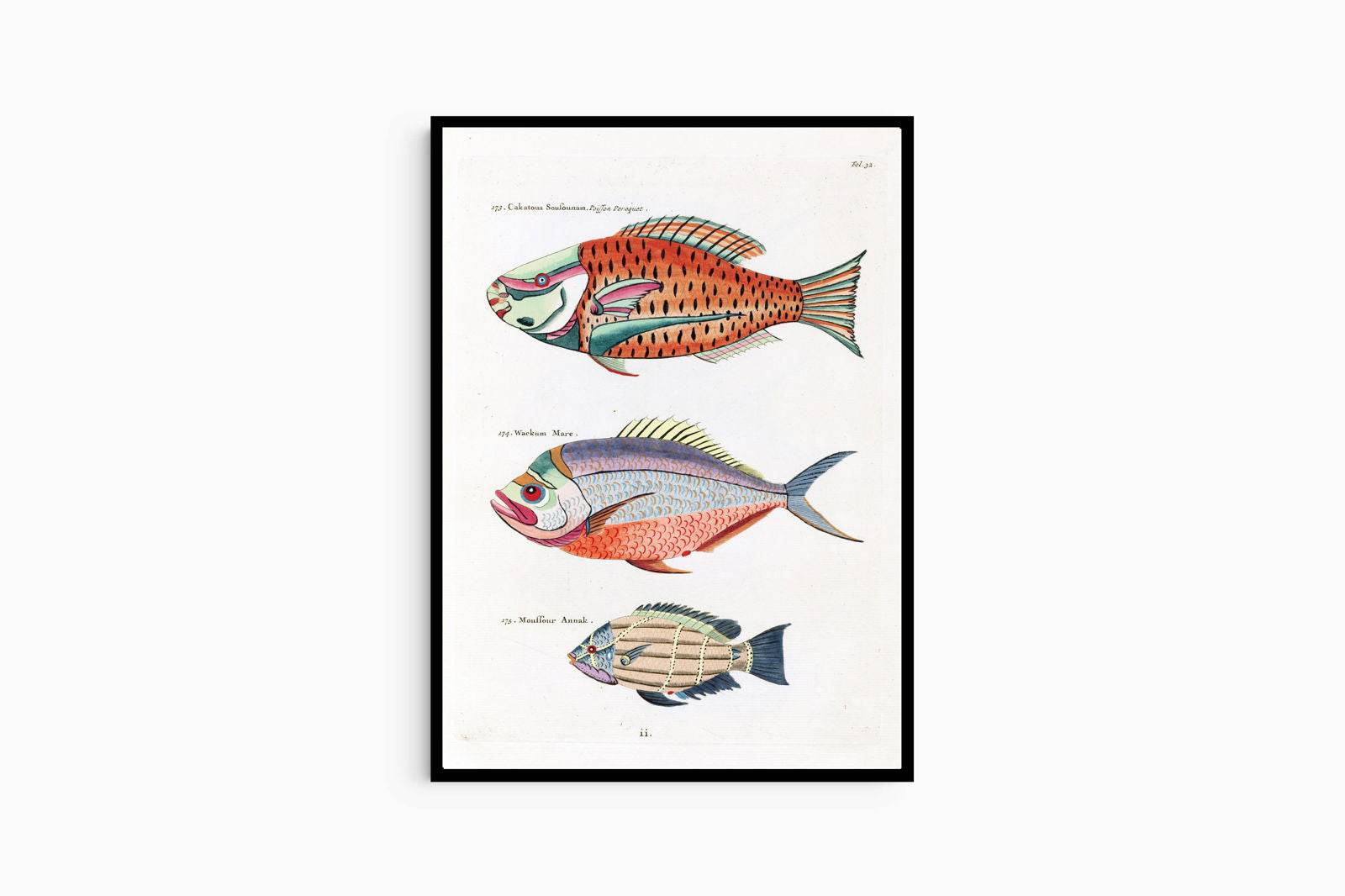 Louis Renard - Poissons Plate 32 Poster - Hakyarts
