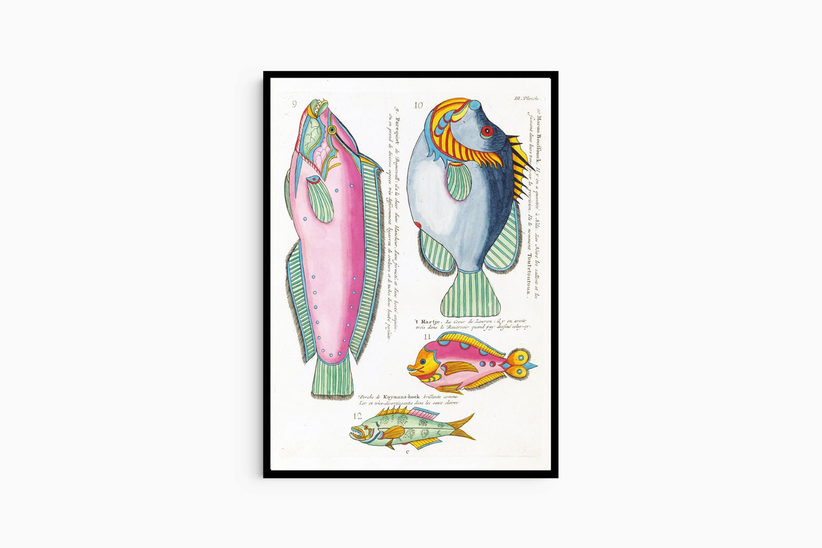 Louis Renard - Poissons Plate 46 Poster