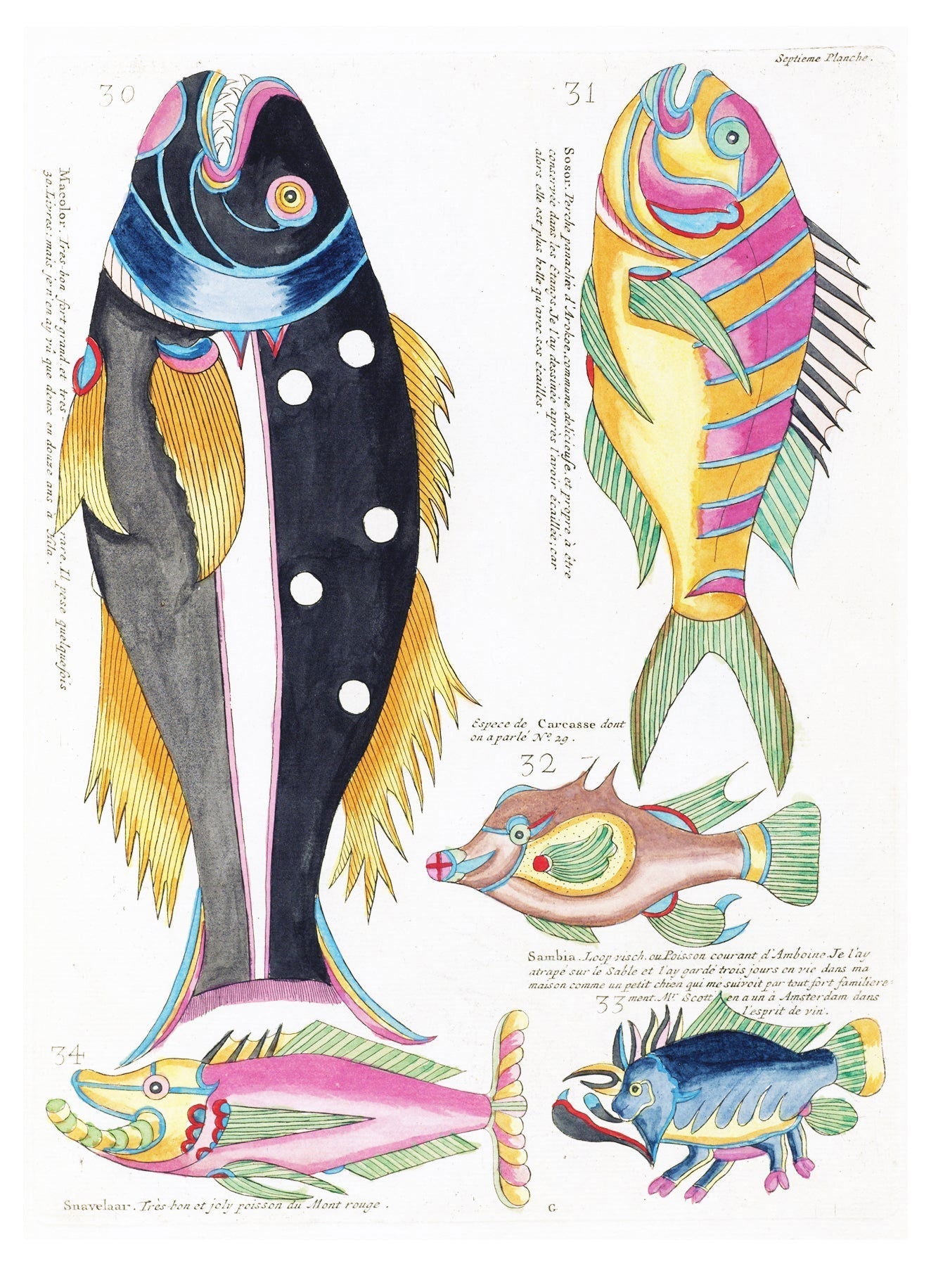 Louis Renard - Poissons Plate 50 Poster