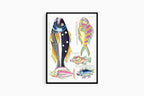 Louis Renard - Poissons Plate 50 Poster