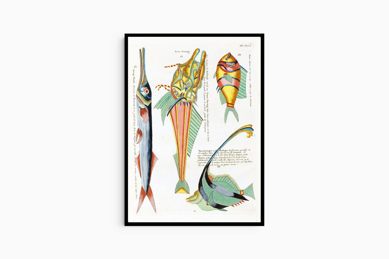 Louis Renard - Poissons Plate 57 Poster