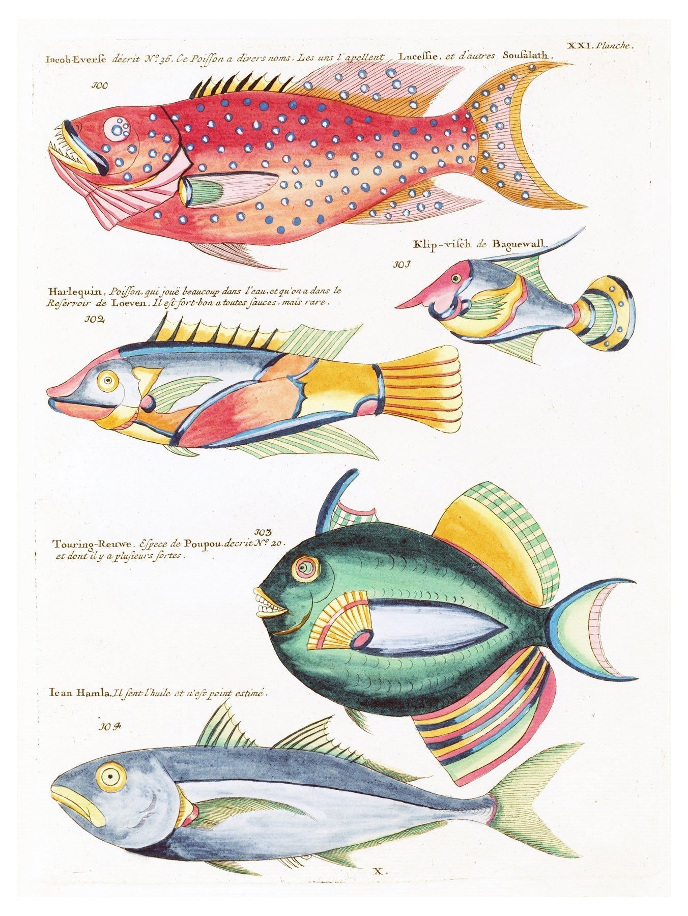 Louis Renard - Poissons Plate 64 Poster
