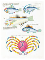 Louis Renard - Poissons Plate 66 Poster