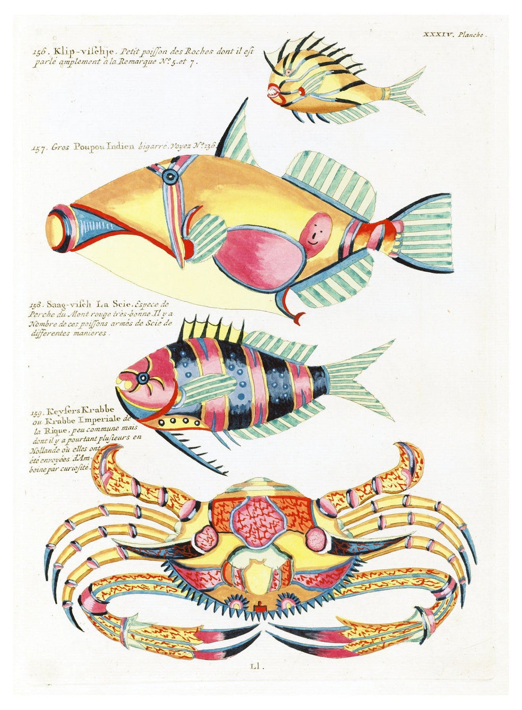 Louis Renard - Poissons Plate 77 Poster
