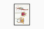 Louis Renard - Poissons Plate 81 Poster