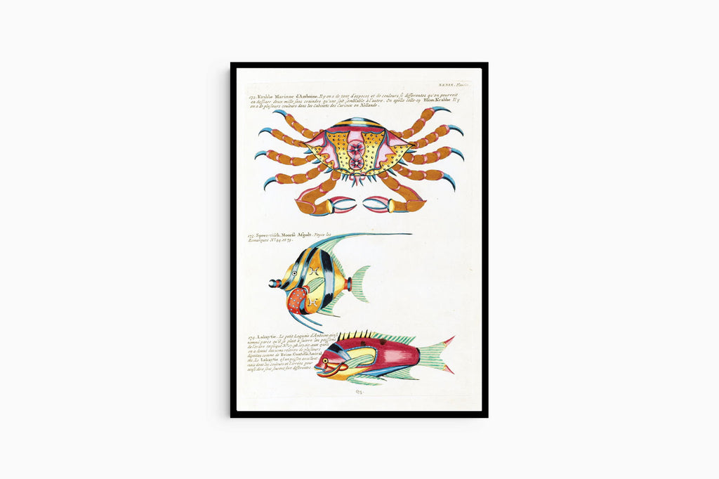 Louis Renard - Poissons Plate 84 Poster