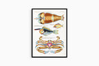 Louis Renard - Poissons Plate 90 Poster