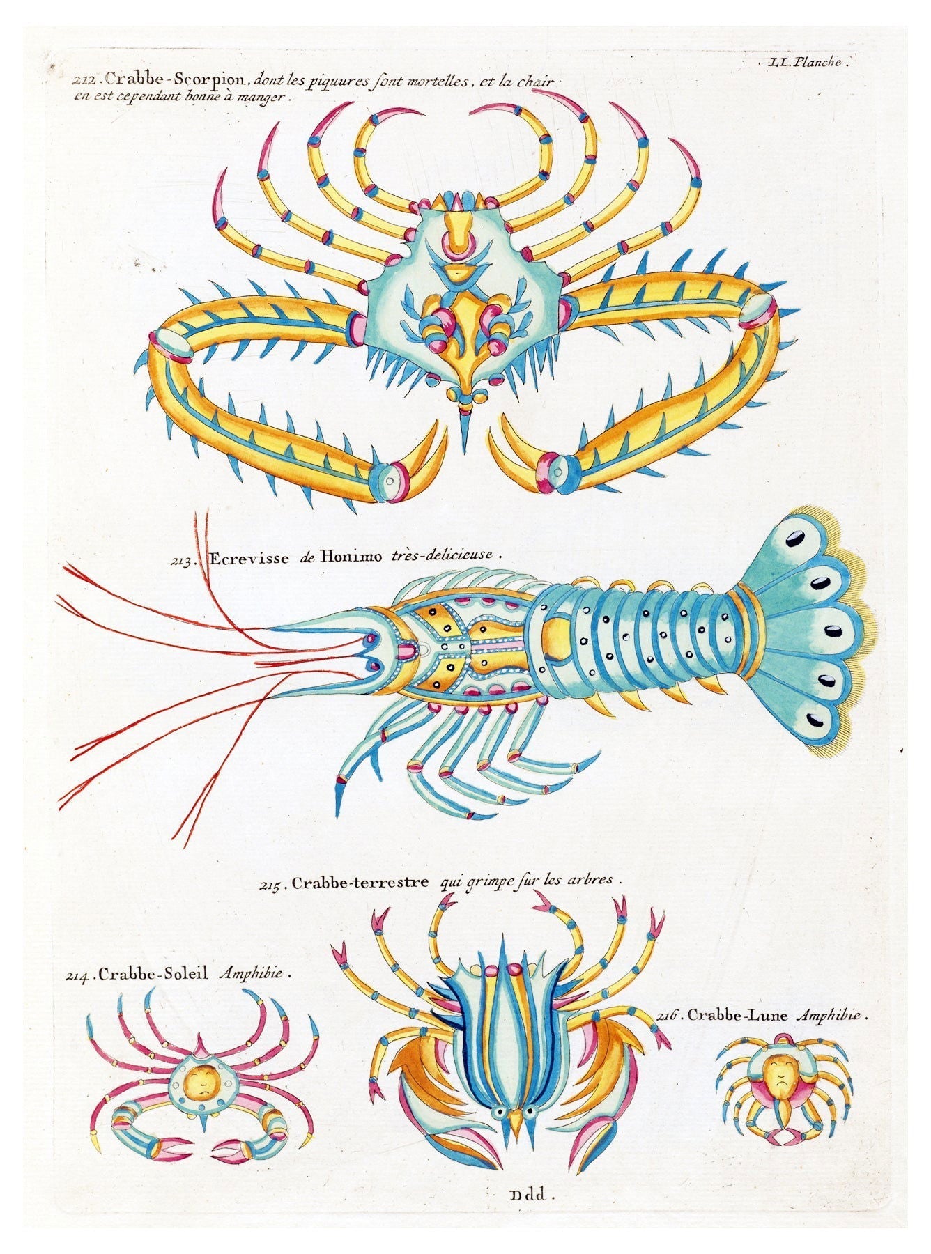 Louis Renard - Poissons Plate 94 Poster