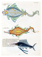 Louis Renard - Poissons Plate 97 Poster