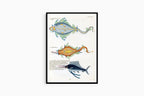 Louis Renard - Poissons Plate 97 Poster