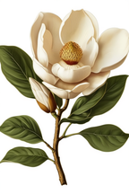 Timeless Blooms – 5-Piece Vintage Floral Wall Art Set - Hakyarts