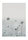 Make A Wish Floral Poster - Hakyarts