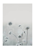 Make A Wish Floral Poster - Hakyarts