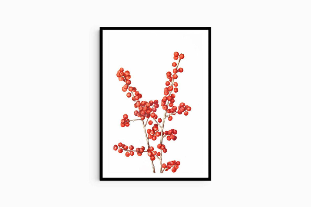 Mary Vaux Walcott - Winterberry - Hakyarts