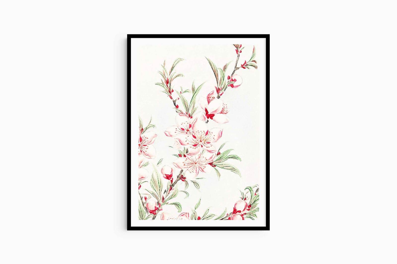 Megata Morikaga - Peach Tree Branches with Leaves and Blossoms - Hakyarts