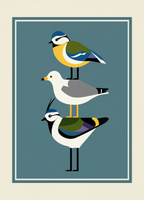 Mid-Century Bird Print Variation | Contemporary Animal Wall Art