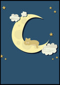 Midnight Half Moon