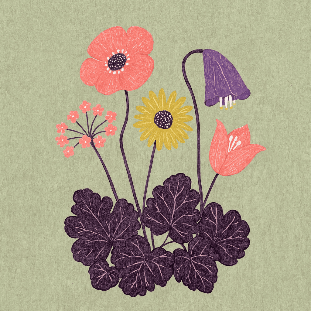 Pressed Flower Study | Contemporary Botanical Illustration