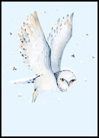 Night Owl