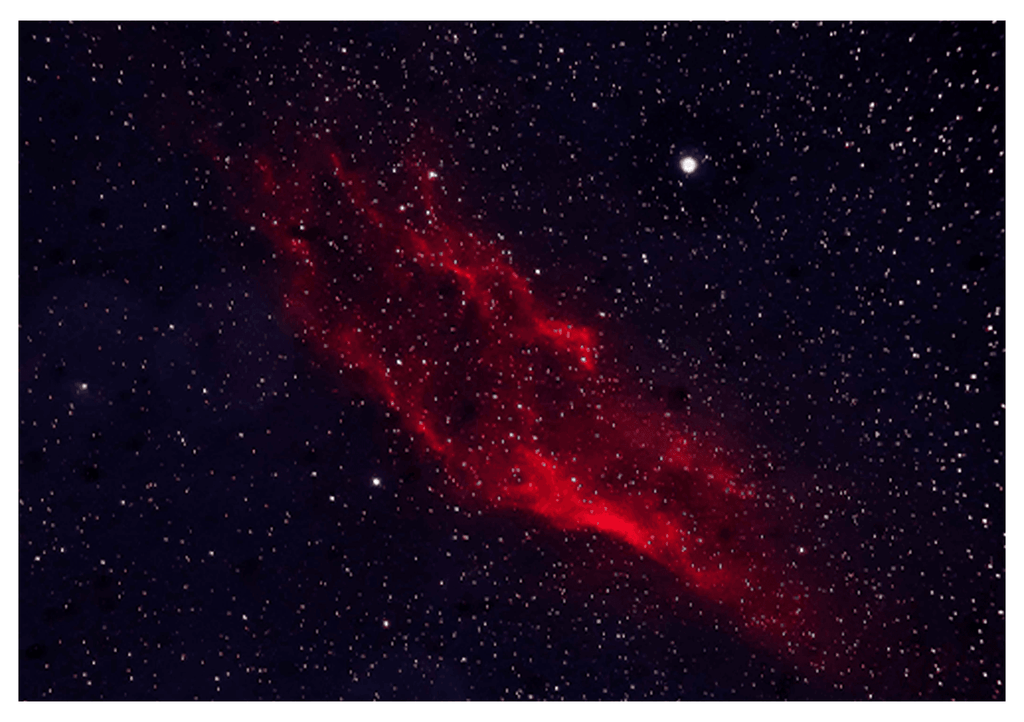 Night Stars Poster - Hakyarts