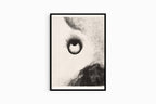 Odilon Redon - Everywhere Eyeballs are aflame