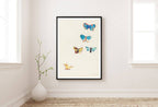 Odilon Redon - Five Butterflies