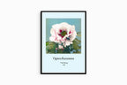 Ogawa Kazumasa - Tree Peony Poster - Hakyarts