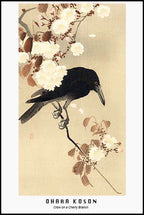Ohara Koson - Crow on a Cherry Branch Poster - Hakyarts