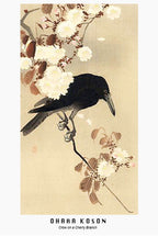 Ohara Koson - Crow on a Cherry Branch Poster - Hakyarts