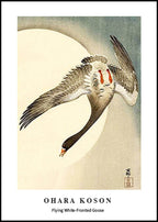 Ohara Koson - Flying White-Fronted Goose Poster - Hakyarts