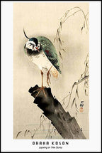 Ohara Koson - Lapwing on Tree Slump Poster - Hakyarts