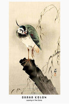 Ohara Koson - Lapwing on Tree Slump Poster - Hakyarts